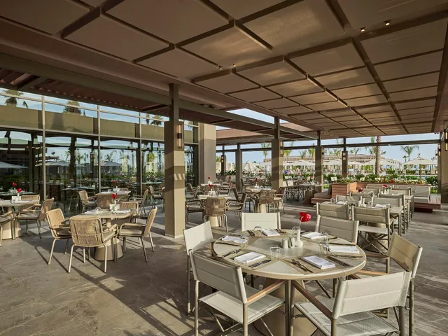 Savory Main Restaurant 14