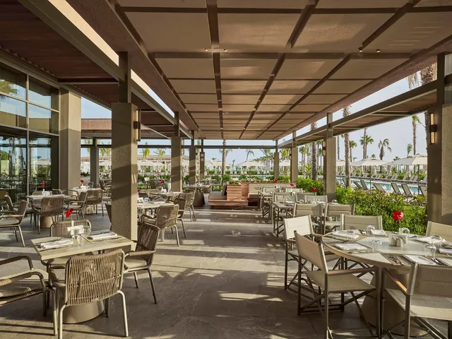 Savory Main Restaurant 7