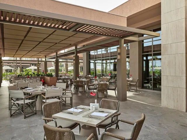 Savory Main Restaurant 12