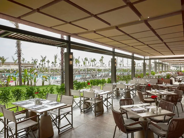Savory Main Restaurant 25